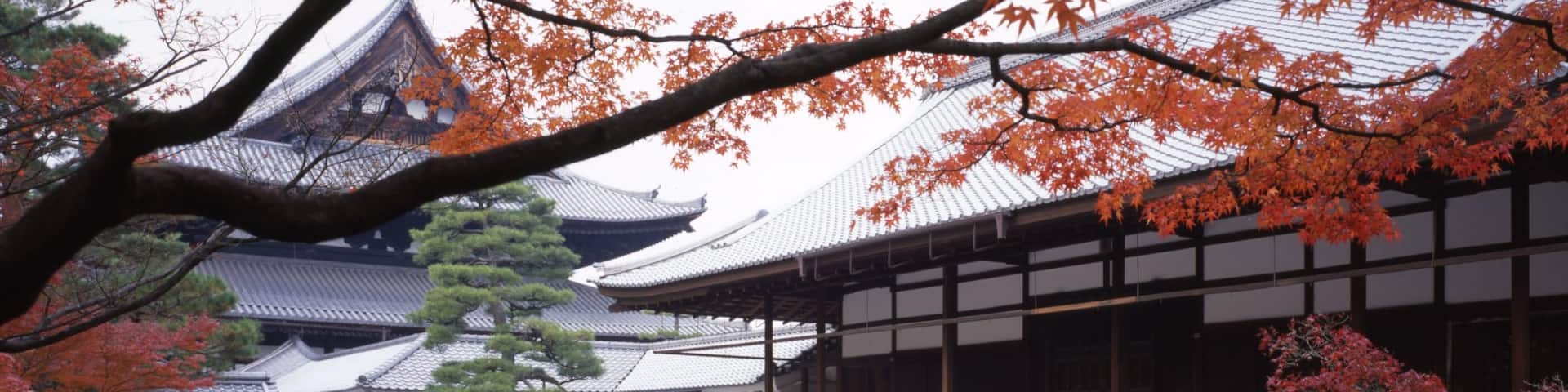Kyoto showing autumn leaves, religious aspects and a temple or place of worship