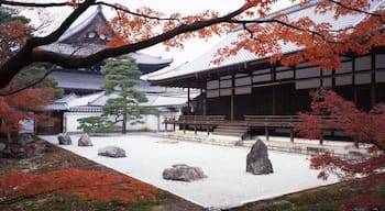 Kioto mostrando nieve, un templo o lugar de culto y un jardín