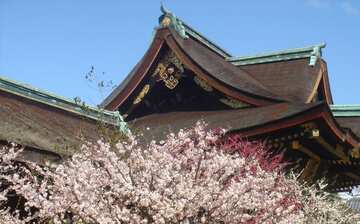 北野天満宮 京都 エクスペディア 北野天満宮 京都 エクスペディア