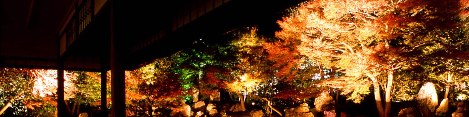 Kyoto das einen bei Nacht, Waldmotive und Tempel oder Andachtsstätte