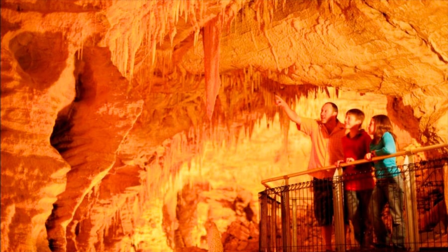 Waitomo Caves showing caves, caving and interior views
