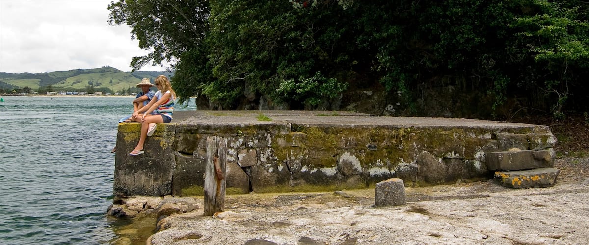 Cooks Beach which includes general coastal views as well as a couple
