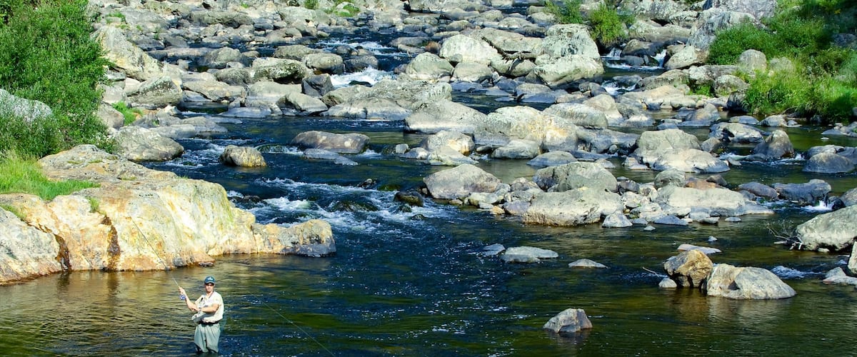 Karangahake Gorge showing fishing and a river or creek as well as an individual male