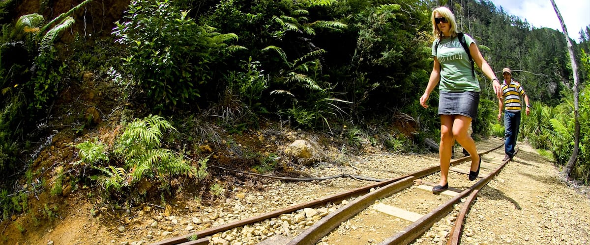 Karangahake Gorge featuring hiking or walking and railway items as well as a couple