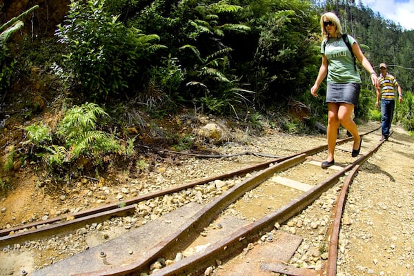 Karangahake Gorge featuring hiking or walking and railway items as well as a couple