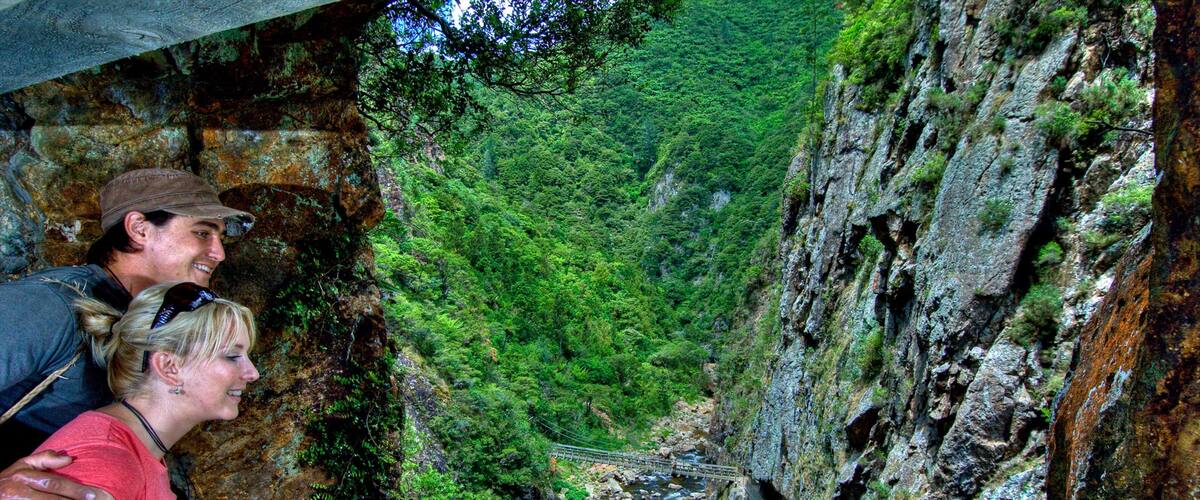 Karangahake Gorge showing views as well as a couple