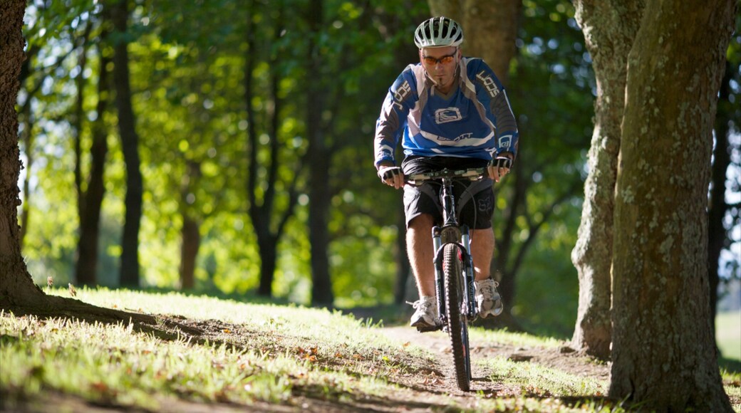 Photo provided by The Mighty Waikato