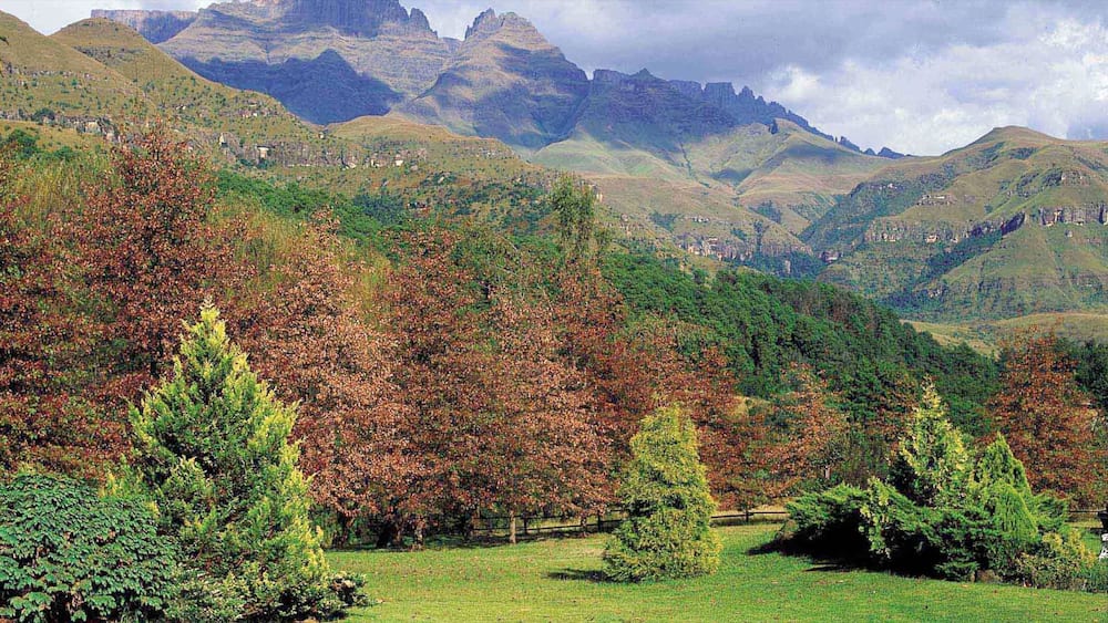 Kwazulu-Natal showing landscape views and mountains