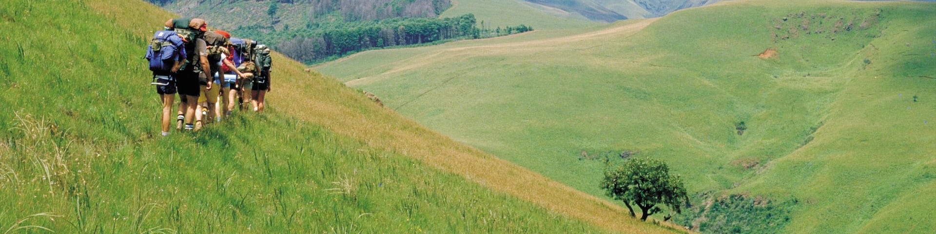 Drakensberg Mountains showing tranquil scenes, landscape views and hiking or walking