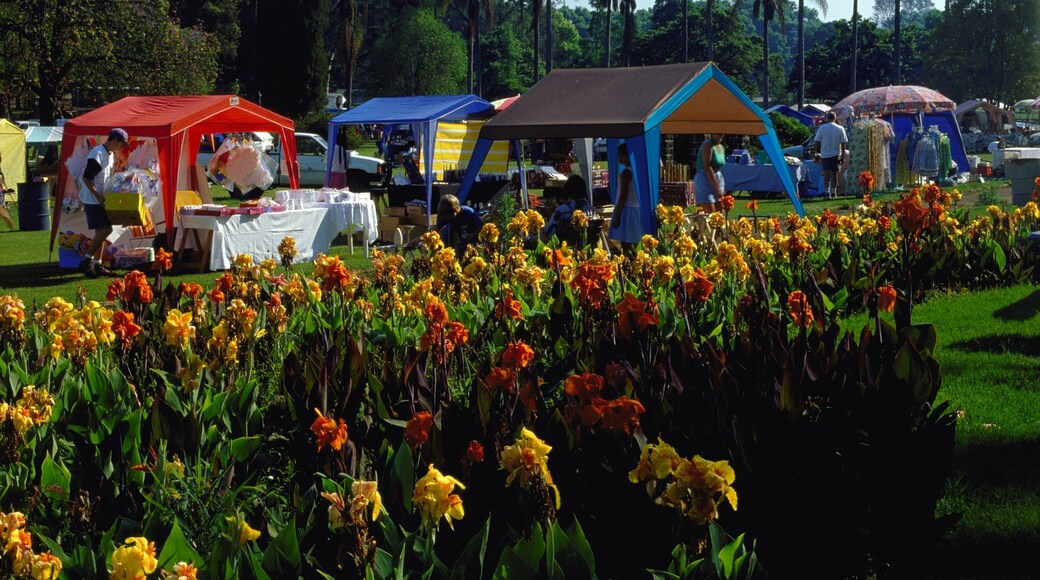 Photo fournie par South African Tourism