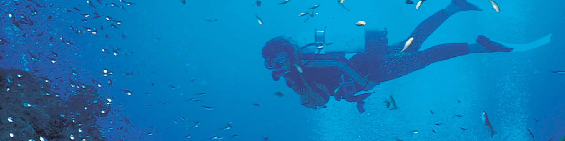 Sodwana Bay Beach which includes coral, marine life and scuba diving