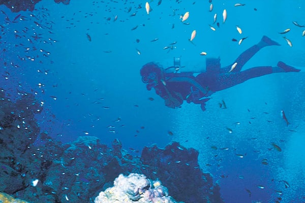 Sodwana Bay Beach showing colourful reefs, marine life and scuba