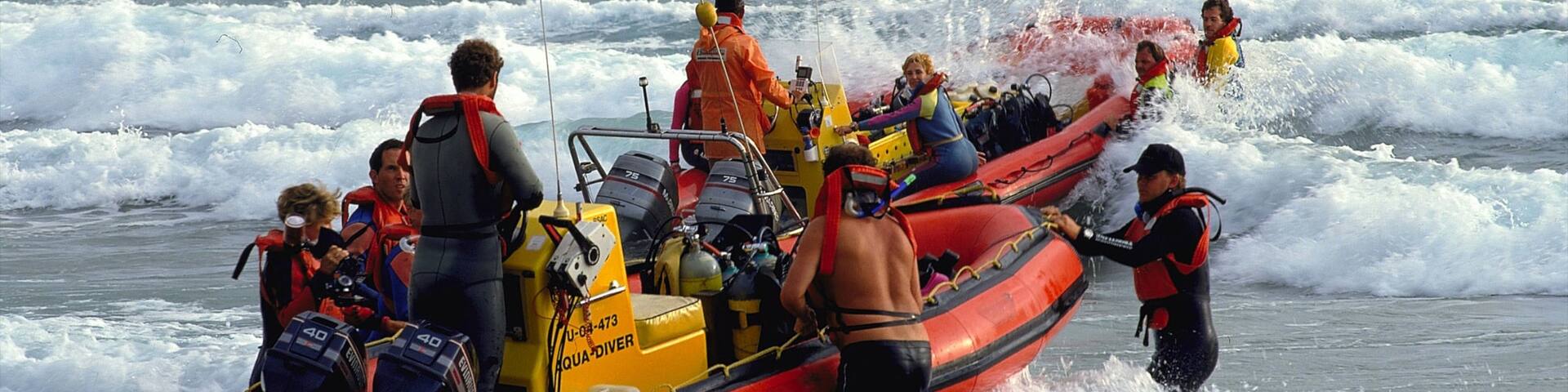 Sodwana Bay Beach which includes waves, general coastal views and boating