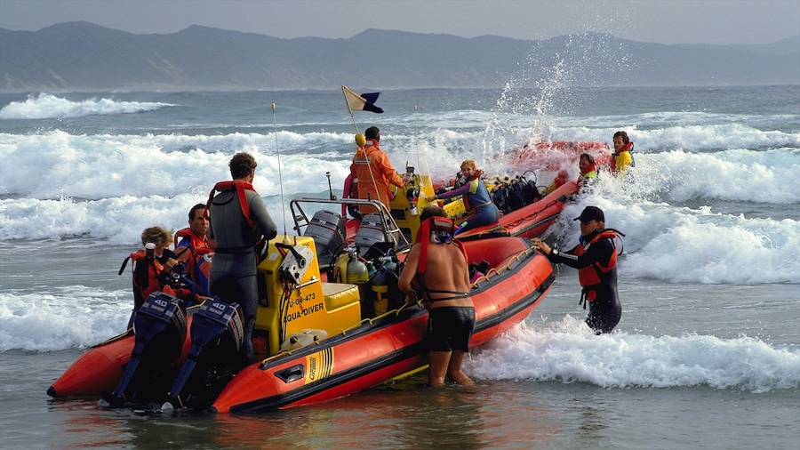 Strand van Sodwana Bay bevat surfen, algemene kustgezichten en varen