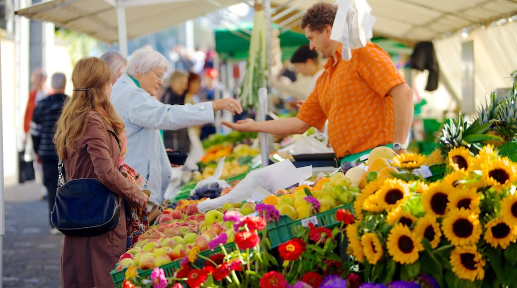 Casco antiguo de Lucerna ofreciendo flores, mercados y comida