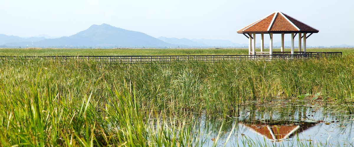 Khao Sam Roi Yot National Park showing landscape views, tranquil scenes and wetlands