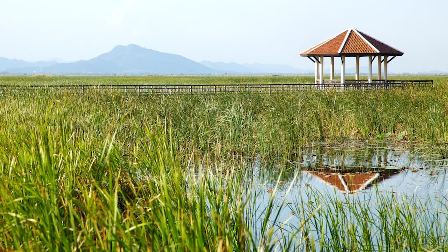 Sam Roi Yot National Park which includes landscape views, tranquil scenes and wetlands