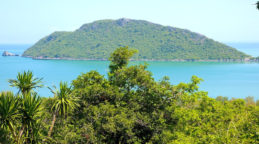 Hua Hin showing tropical scenes, skyline and island views