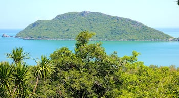 Hua Hin mostrando vistas panorámicas, escenas tropicales y horizonte urbano
