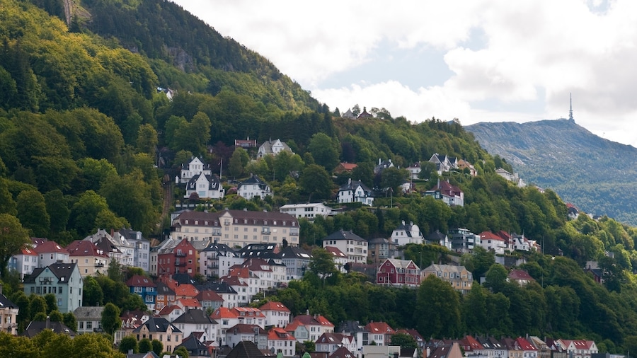 Flöyen presenterar berg och en liten stad eller by
