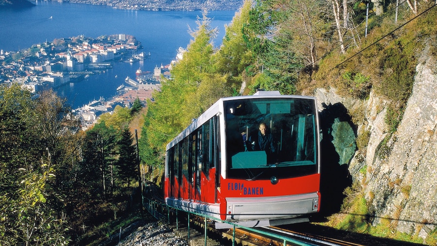 Funicular de Floibanen ofreciendo elementos ferroviarios