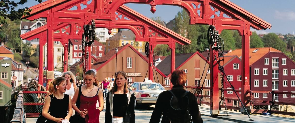 Old Town Bridge which includes a small town or village, street scenes and a bridge