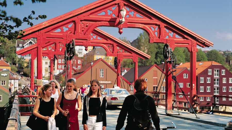 Puente de la Ciudad Vieja mostrando un pueblo, escenas cotidianas y un puente
