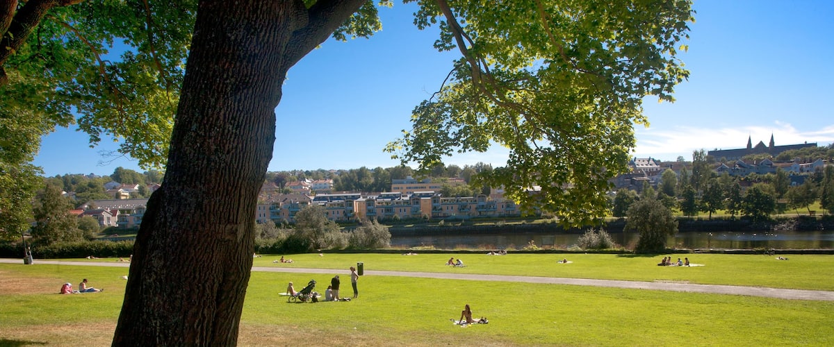 Trondheim que incluye una ciudad y un jardín