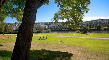 Trondheim montrant ville et jardin