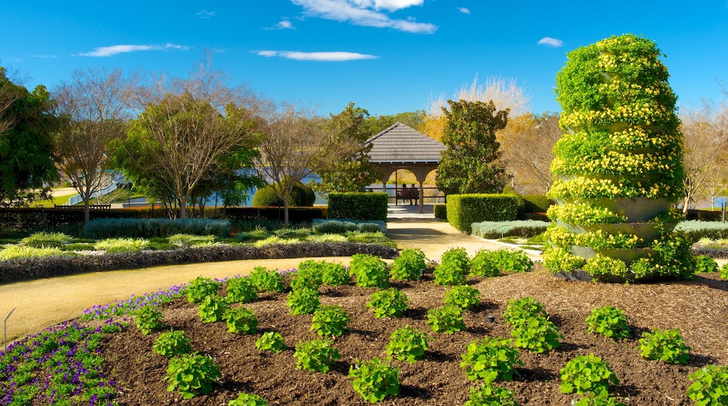 Hunter Valley Gardens som omfatter en have