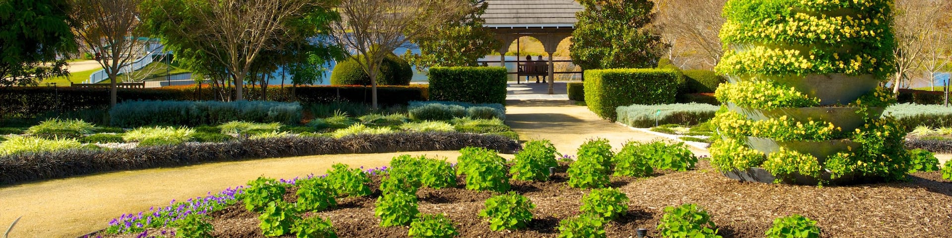 Hunter Valley Gardens featuring a park