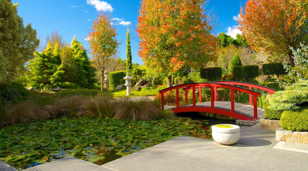 Hunter Valley Gardens showing a pond, a bridge and a park