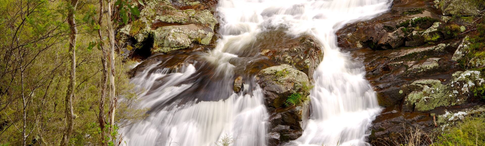 Parc national de Barrington Tops, NouvelleGallesduSud locations de
