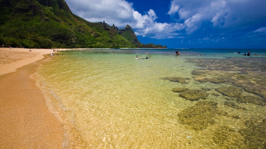 Makua Beach featuring general coastal views and a sandy beach