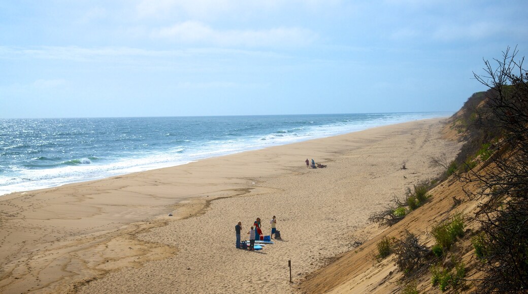 ชายหาด Nauset Light