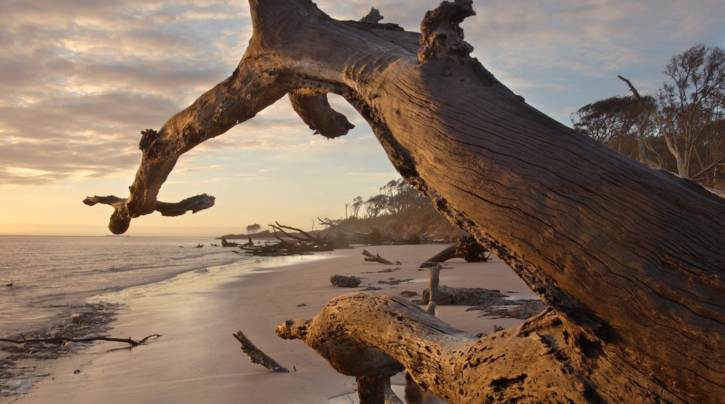 Photo provided by Visit Jacksonville