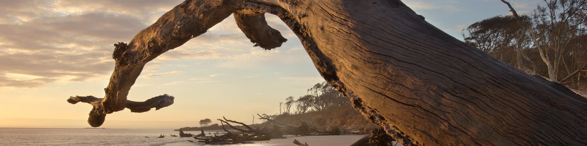 Big Talbot Island State Park showing a sunset, general coastal views and a sandy beach