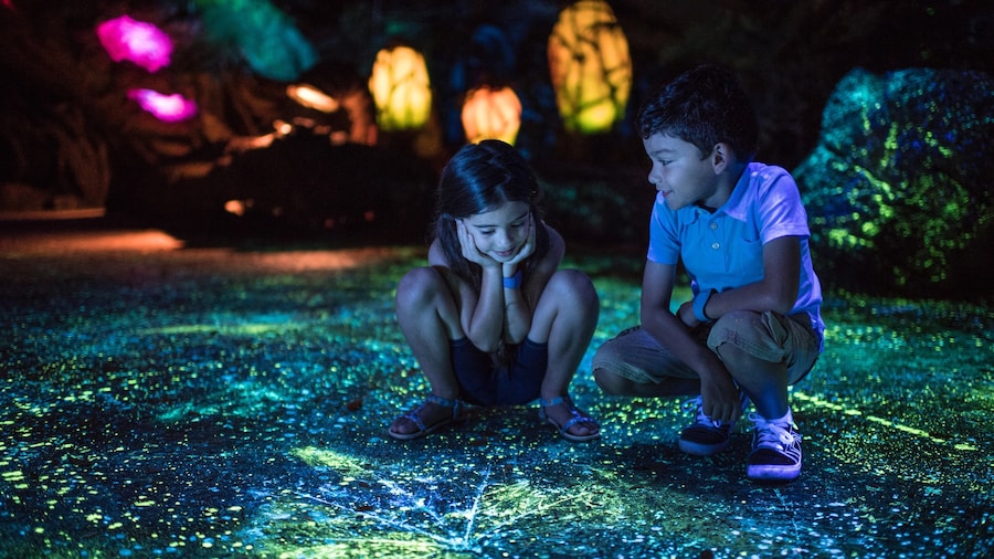 Disney's Animal Kingdom® Theme Park