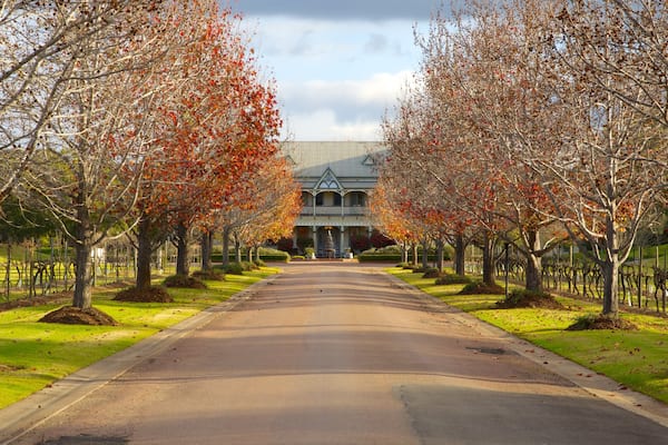 PepperTree Wines showing autumn colours