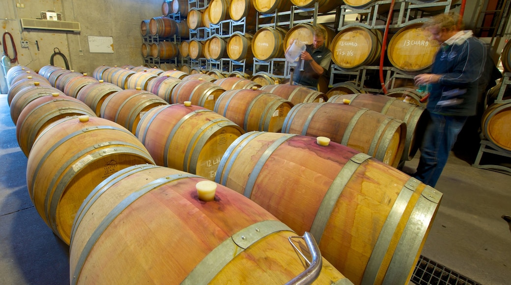 Saddlers Creek Wines showing interior views