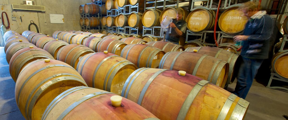 Saddlers Creek Wines which includes interior views