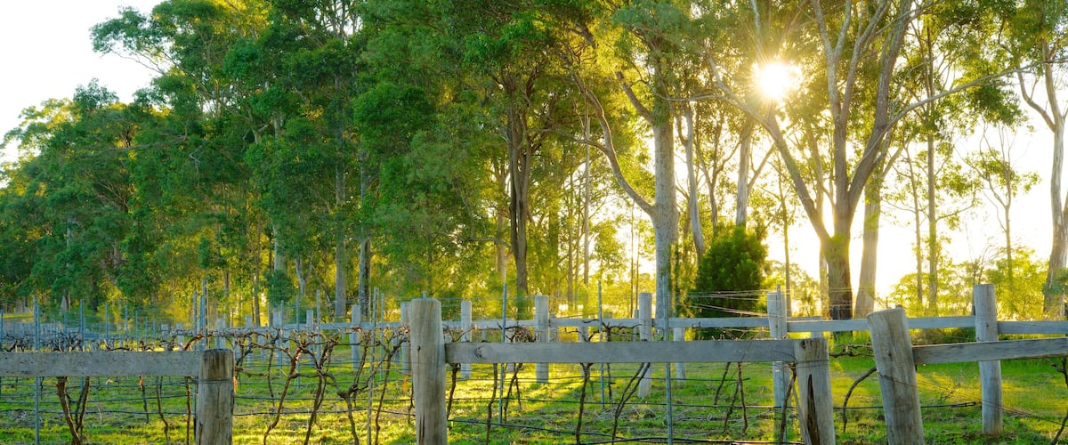 Saddler\\\'s Creek Wines which includes a park and farmland