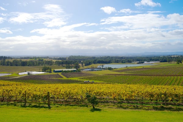 Domaine viticole Audrey Wilkinson montrant panoramas et ferme