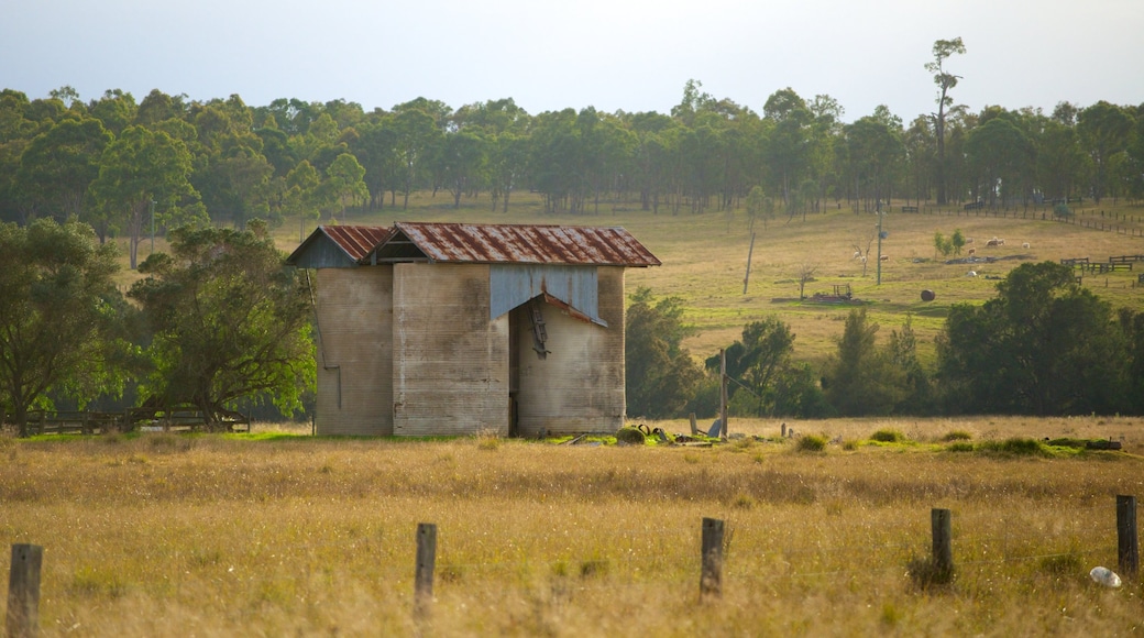 Singleton Shire Council