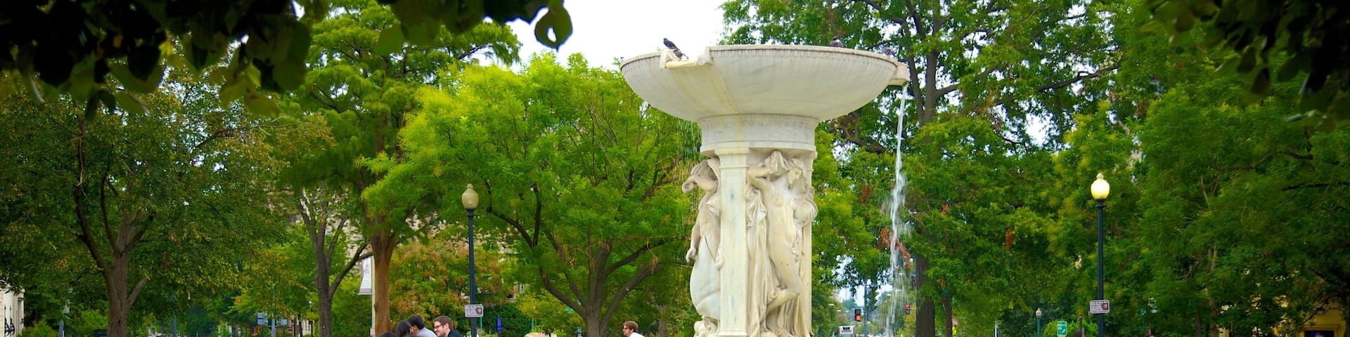 Dupont Circle showing a park, a monument and a fountain