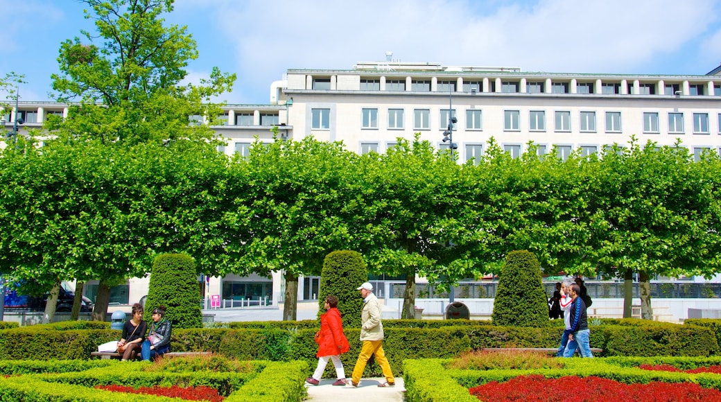 Mont des Arts showing a garden as well as a couple