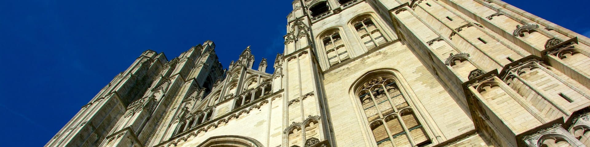 Kathedrale St. Michael und St. Gudula das einen historische Architektur, religiöse Aspekte und Kirche oder Kathedrale