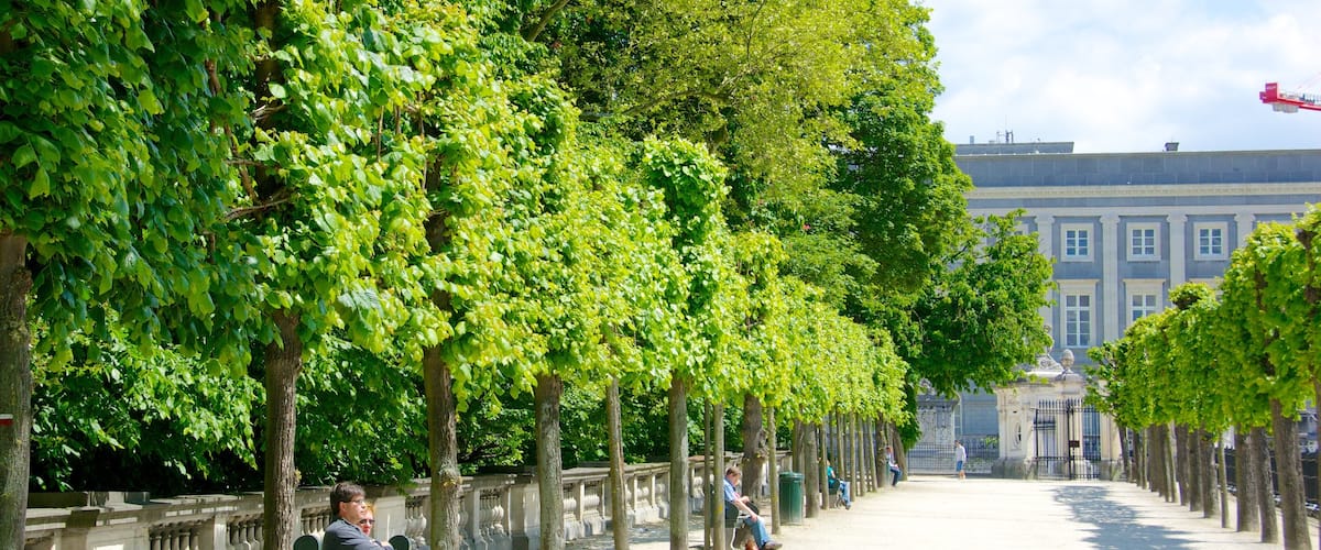 Bruxelles mettant en vedette parc aussi bien que couple