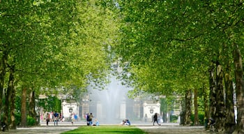 Parque de Bruselas que incluye un jardín