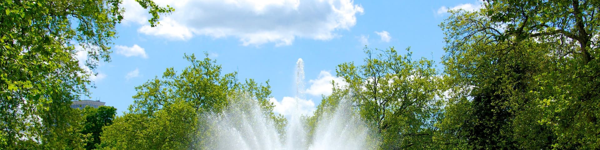Brussels Park showing a park, a pond and a fountain